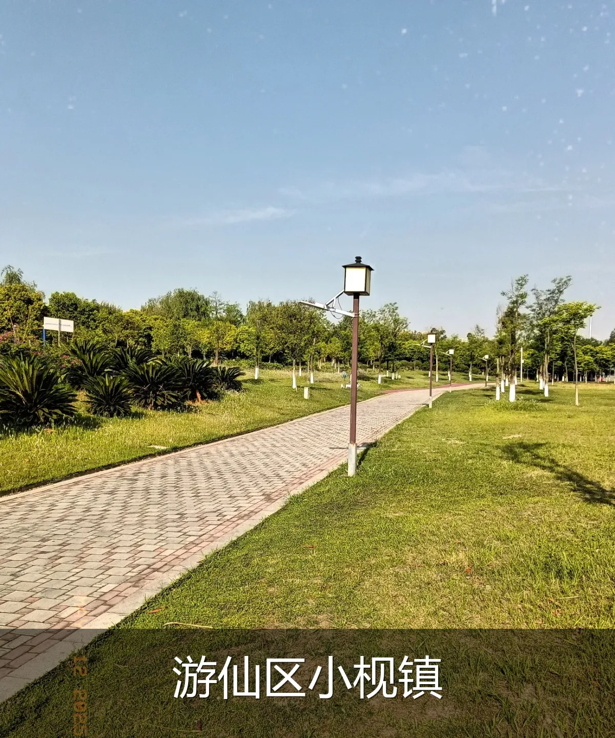 游仙区小枧镇