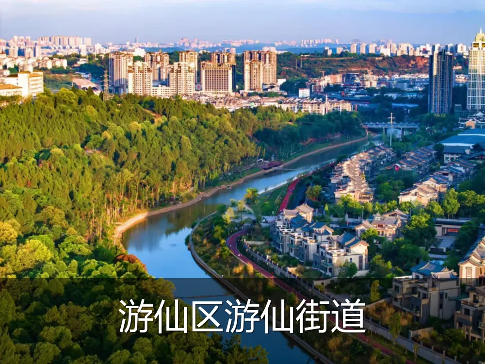 游仙区游仙街道