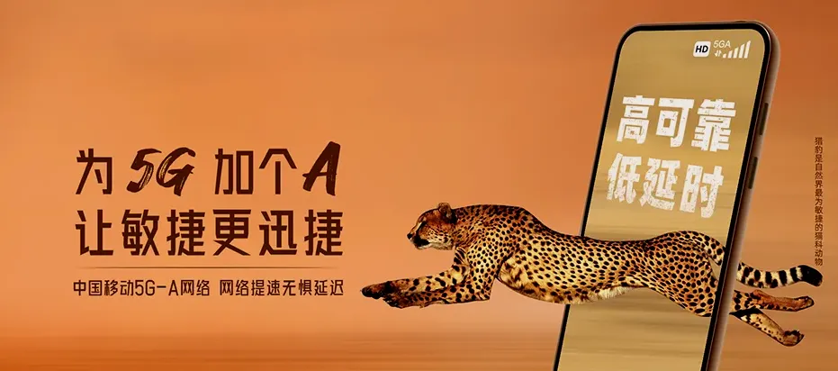 游仙区游仙区春雷街道 移动宽带